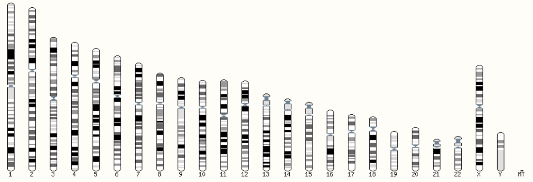 Genome Reference Consortium