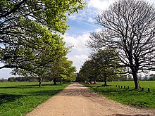 Hungerford Common