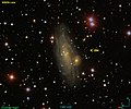 IC 284 SDSS.jpg