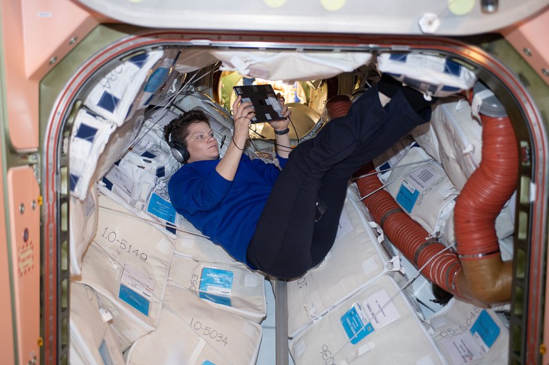 File:ISS-59 Anne McClain with an electronic tablet inside PMA-1.jpg