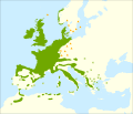 Miniatura para Ilex aquifolium