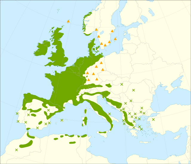 Área de distribución do acivro en Europa e o norte de África.
