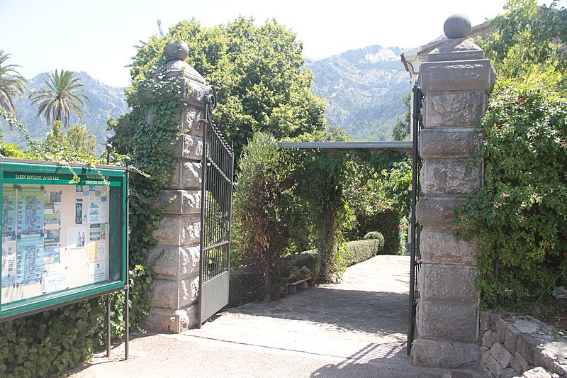 File:Jardí Botànic de Sóller IMG 4663.JPG