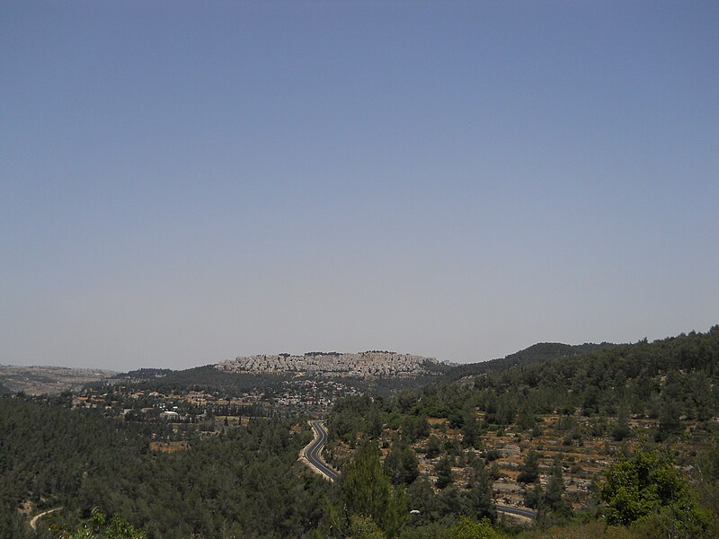 File:Jerusalem - View from Hadassah trail 1.JPG