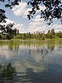 Jezioro Lipieniec Duży na Wysoczyźnie Polanowskiej, w rezerwacie przyrody Skotawskie Łąki.