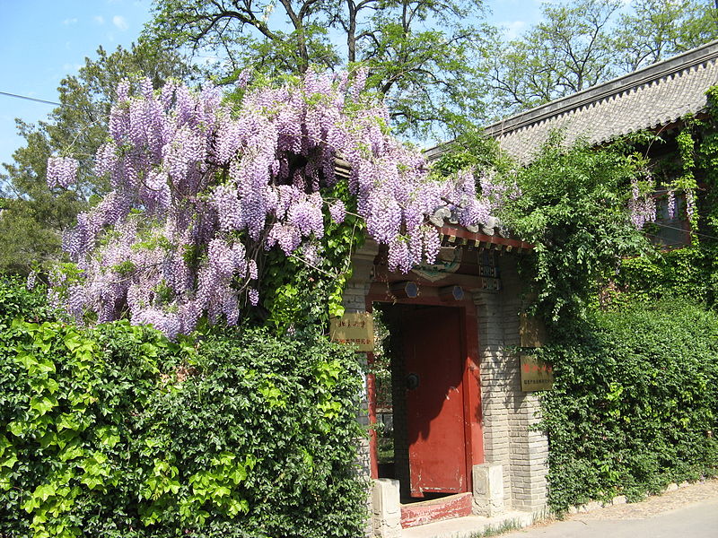 File:Jingyuan Garden, Peking University.jpg