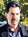 Gambar mini seharga Joe Mantegna