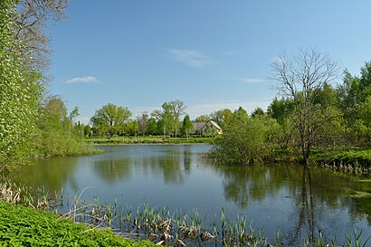 Kuidas ühistranspordiga sihtpunkti Juta Järv jõuda - kohast