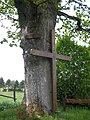 image=File:Kalterherberg, Theißbaum.jpg