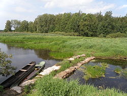 Караслица на выходе из Спуднинского озера, 2012 г. (озеро было подпружено мешками с песком для регулирования уровня)