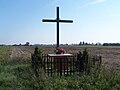 Cross in fields