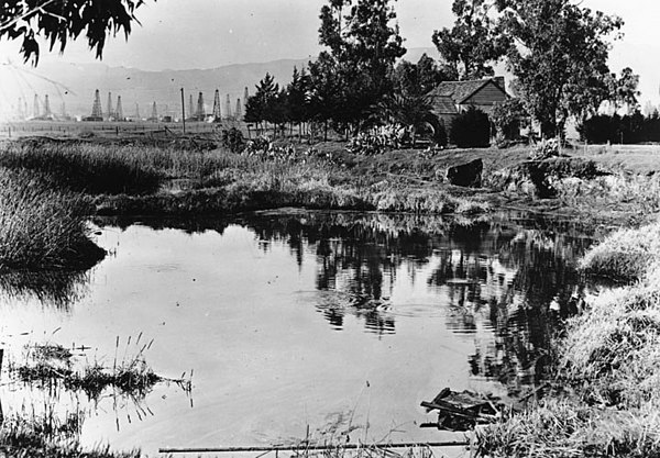 The Tar Pits in 1910. Oil derricks can be seen in the background.