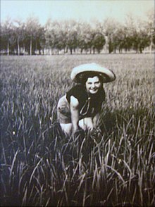 Trabalhadora mondina na colheita de arroz (colhendo arroz)