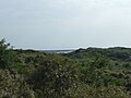 La réserve naturelle depuis la Dune Grise.