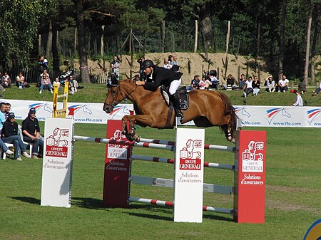 Show jumping