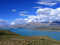 Thumbnail for Canterbury–Otago tussock grasslands