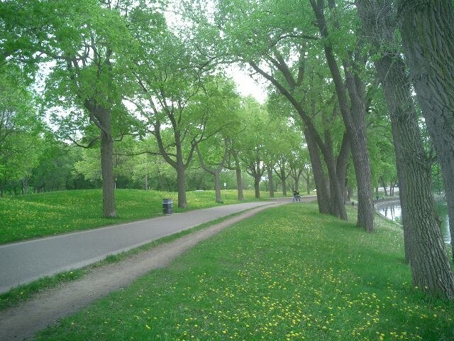 A path on Minneapolis's Grand Rounds