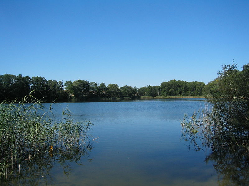 File:Lake de Klarersee Dreesch.JPG