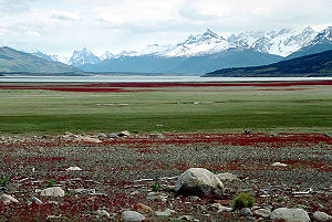 Patagonien: Geographische Beschreibung, Landschaft, Klima, Vegetation, Fauna