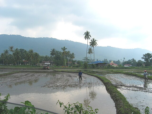 Pertanian di Malaysia