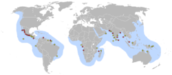 Ареал оливкової морської черепахи:    води поширення    головні райони гніздування    другорядні райони гніздування