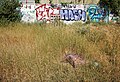 * Nomination: Graffiti in the Jardin André Ballet, Rue André Ballet, in Lille, France --Velvet 08:09, 3 July 2023 (UTC) * * Review needed