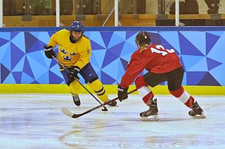 <span class="mw-page-title-main">Ice hockey at the 2016 Winter Youth Olympics – Girls' tournament</span>