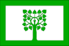 Флаг Липника (Млада-Болеславский район)