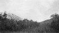 Looking southeast toward mountain near headwaters of Moore and Bonanza Creeks, Alaska, September 1914 (AL+CA 3951).jpg