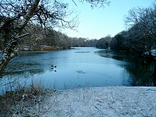 Lower Cannop Pond in the midwinter Lower Cannop Pond, midwinter - geograph.org.uk - 1628282.jpg