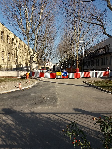 File:Lyon 7e - ENS, route du campus de Gerland en travaux.jpg