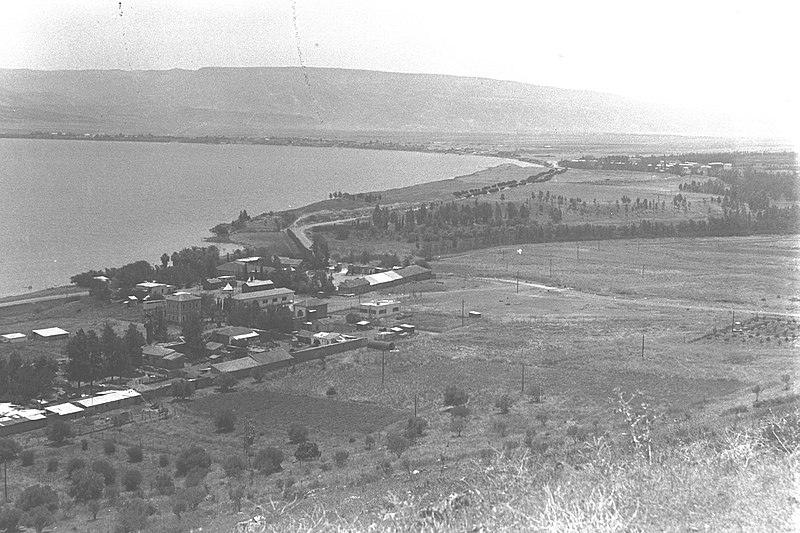 File:MOSHAVA KINNERET ON THE SEA OF GALILEE. מראה כללי של המושבה כינרת על שפת ימת הכינרת.D29-006.jpg