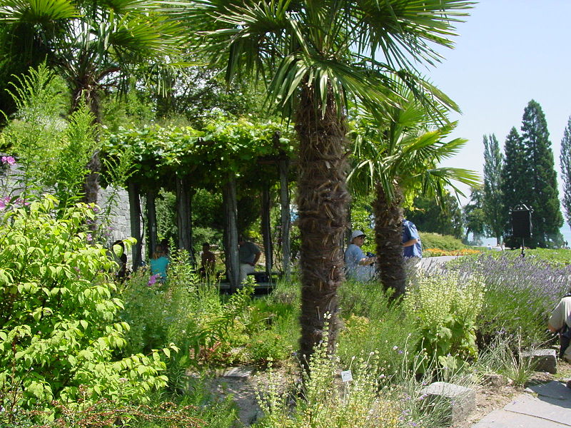 File:Mainau5.jpg