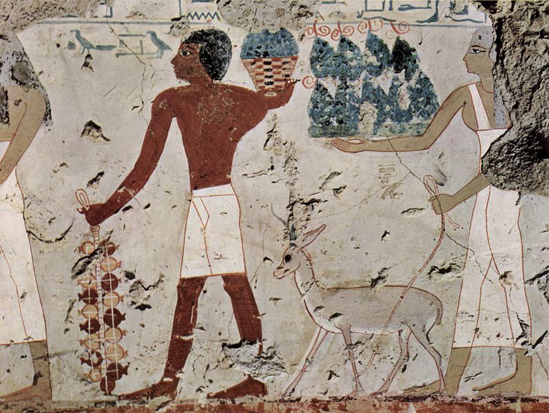 File:Maler der Grabkammer des Amenemhêt 003.jpg