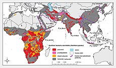 Rozšíření levharta afrického