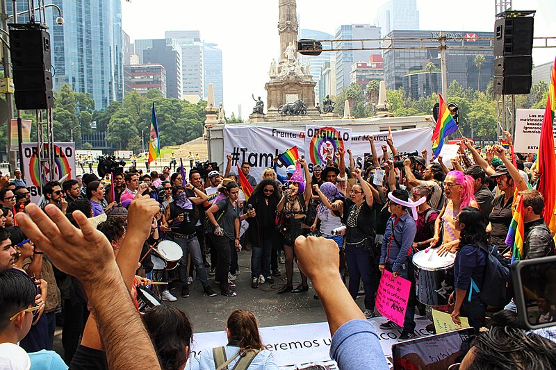 File:Marcha TodosSomosFamilia - Ciudad de México - 16.jpg