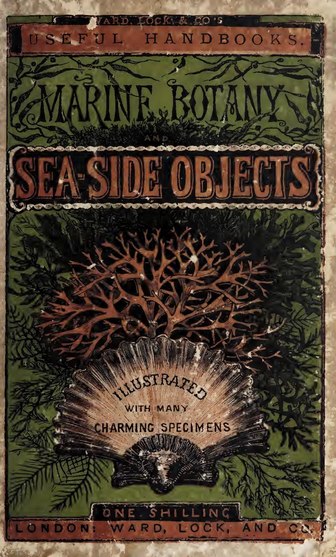 Marine Botany and Sea-side Objects Marine botany and sea-side objects; embracing every feature of interest connected with this delightful sea-side recreation; and illustrated with many charming specimens (IA marinebotanyseas00unse).pdf