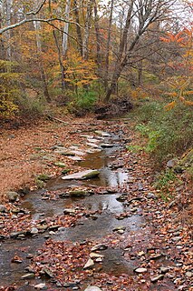 Marsh Creek (Bowman Creek tributary) River