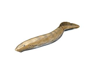 <i>Mayomyzon</i> Extinct species of lamprey