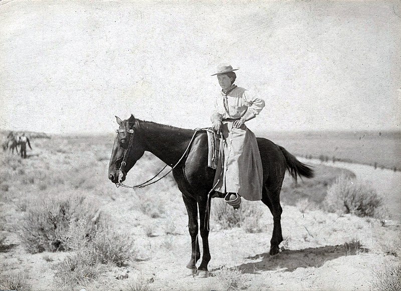 File:Minerva Teichert horse.jpg