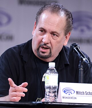 <span class="mw-page-title-main">Mitch Schauer</span> American animation professional (born 1955)