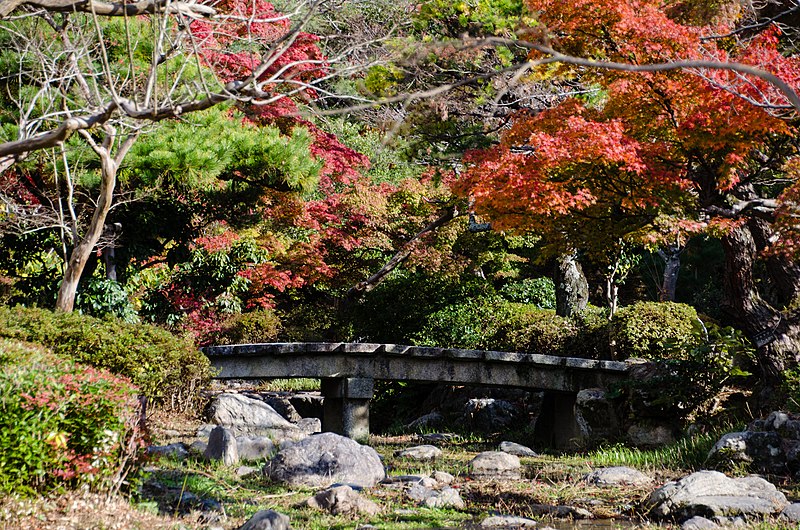 File:Momiji in Maruyama Park - panoramio.jpg