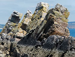 Rochers du Beg ar Kador Morgat Réserve naturelle régionale des sites d'intérêt géologique de la presqu'île de Crozon , Finistère.- France.