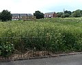 Thumbnail for File:Mousefield Countryside Site, Shrewsbury - geograph.org.uk - 4548674.jpg