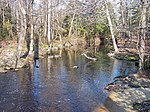 Killens Pond State Park