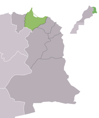 <span class="mw-page-title-main">Nador Province</span> Province in Oriental, Morocco