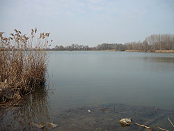 Lake Naplás httpsuploadwikimediaorgwikipediacommonsthu