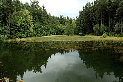 Jak do Rybník U Králova Mlýna hromadnou dopravou - O místě