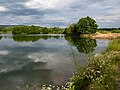 * Nomination Quarry pond in the Büg nature reserve near Eggolsheim --Ermell 04:14, 25 June 2024 (UTC) * Promotion  Support Good quality.--Tournasol7 04:35, 25 June 2024 (UTC)