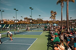 Professional pickleball courts